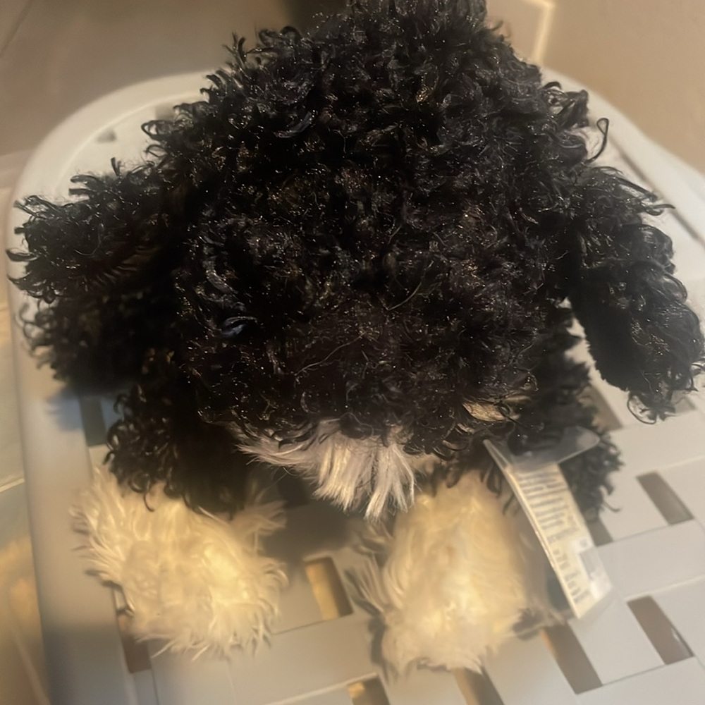Ganz Portuguese Water Dog HM439